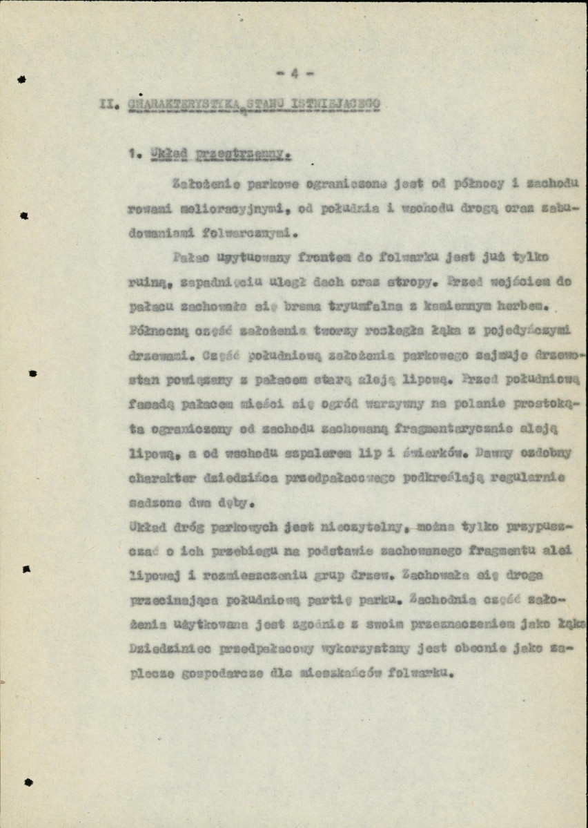 Ewidencja parkowa, skan nr 10