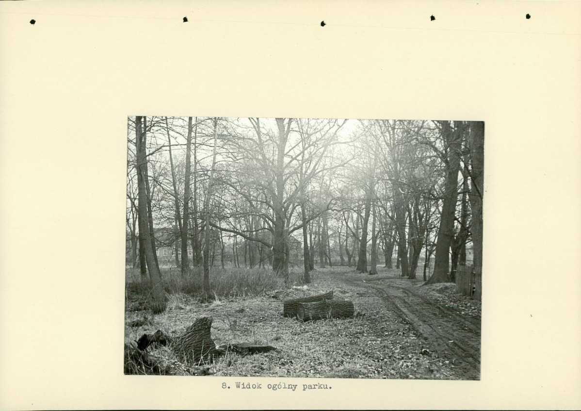 Ewidencja parkowa, skan nr 21