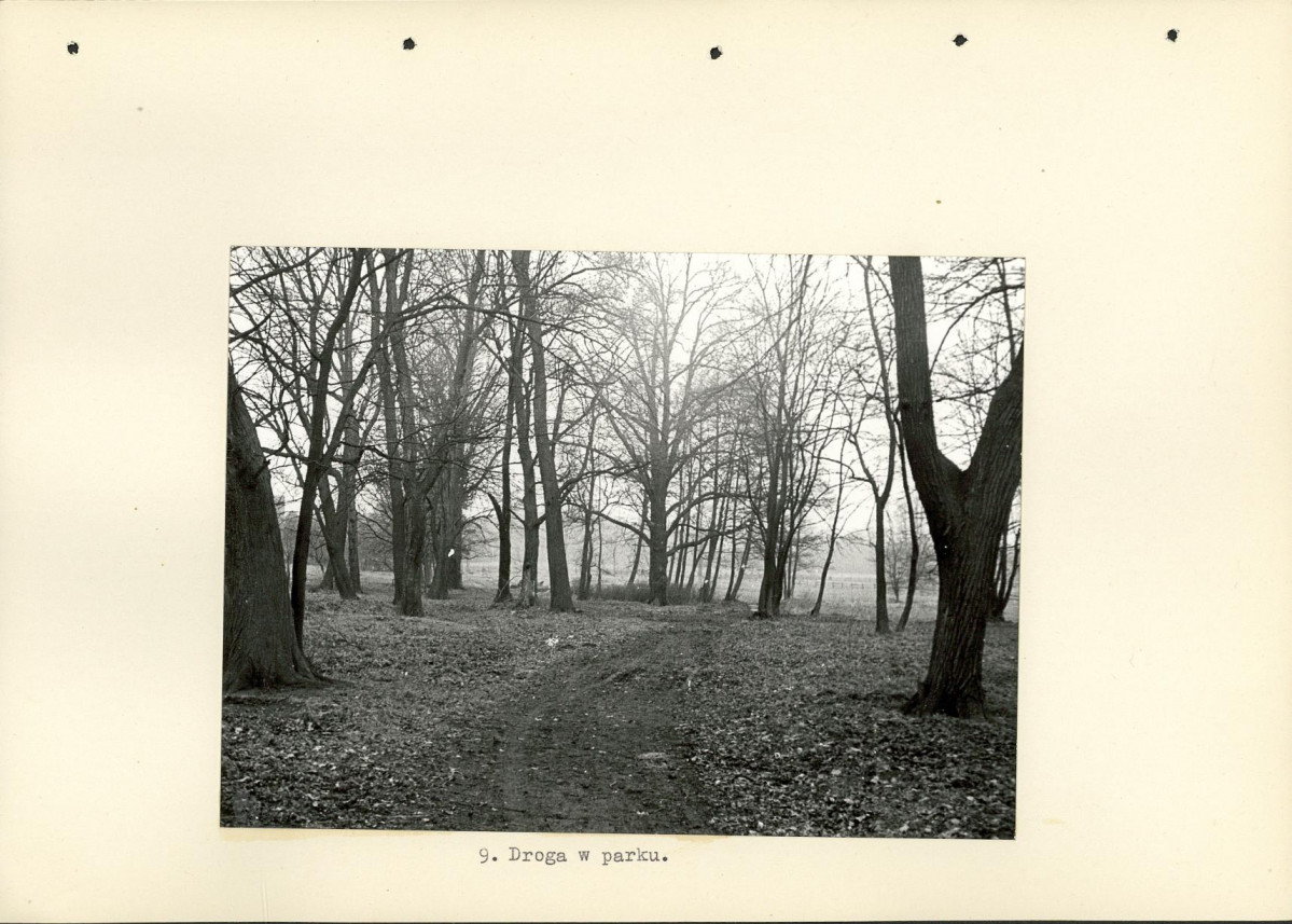 Ewidencja parkowa, skan nr 22