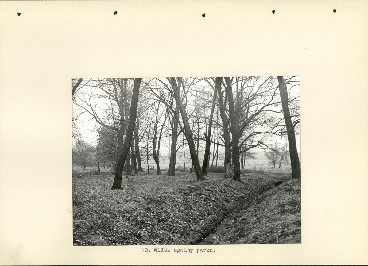 Ewidencja parkowa, skan nr 23