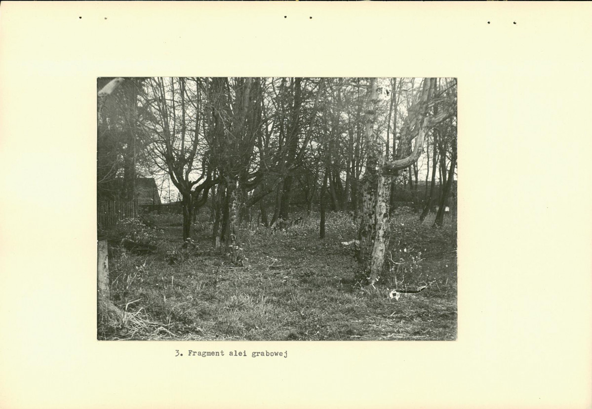 Ewidencja parkowa, skan nr 14