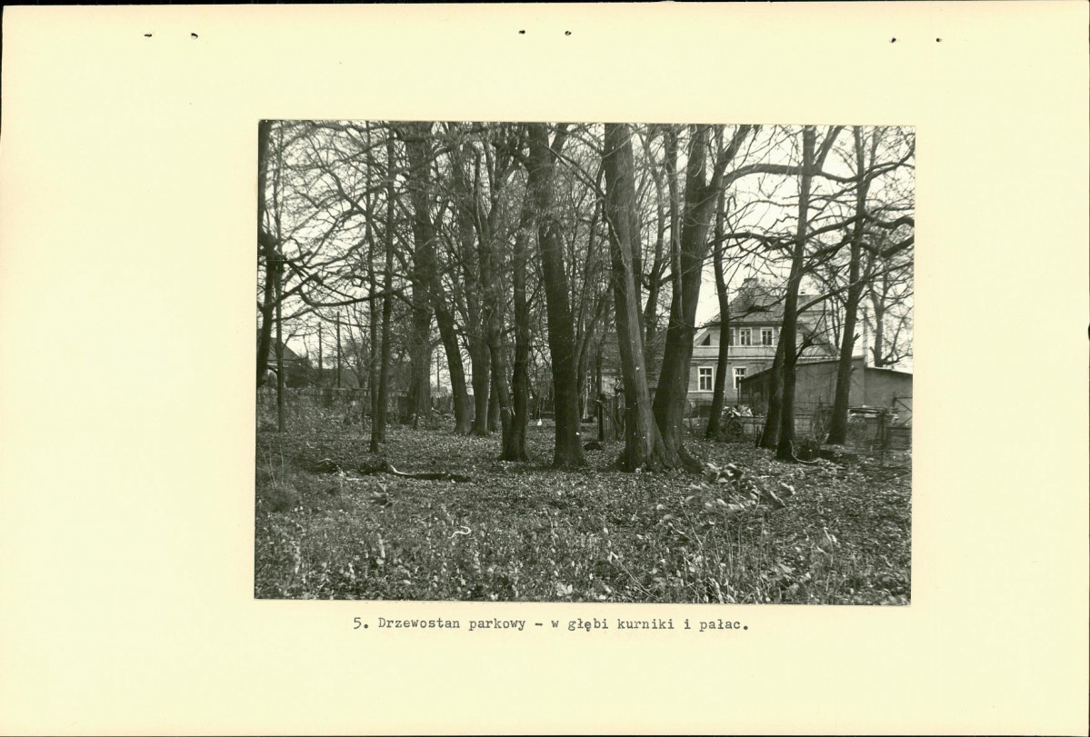 Ewidencja parkowa, skan nr 16