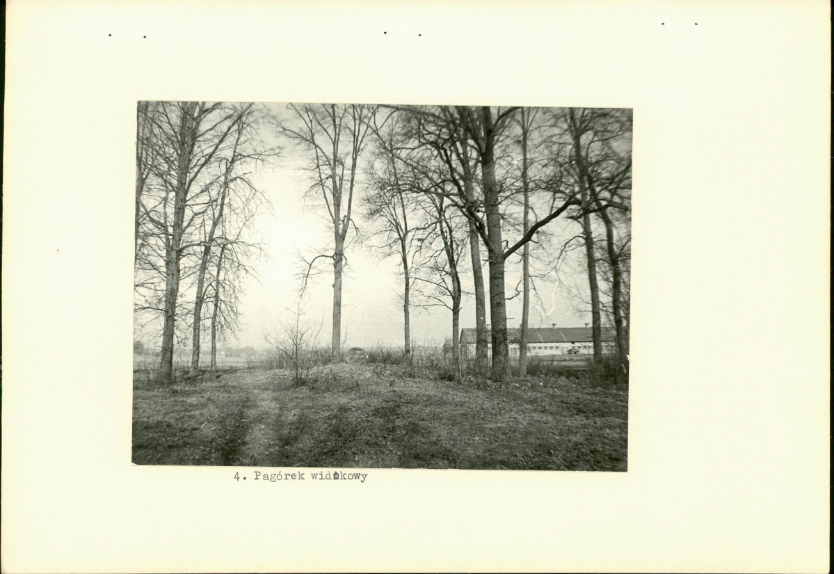 Ewidencja parkowa, skan nr 15
