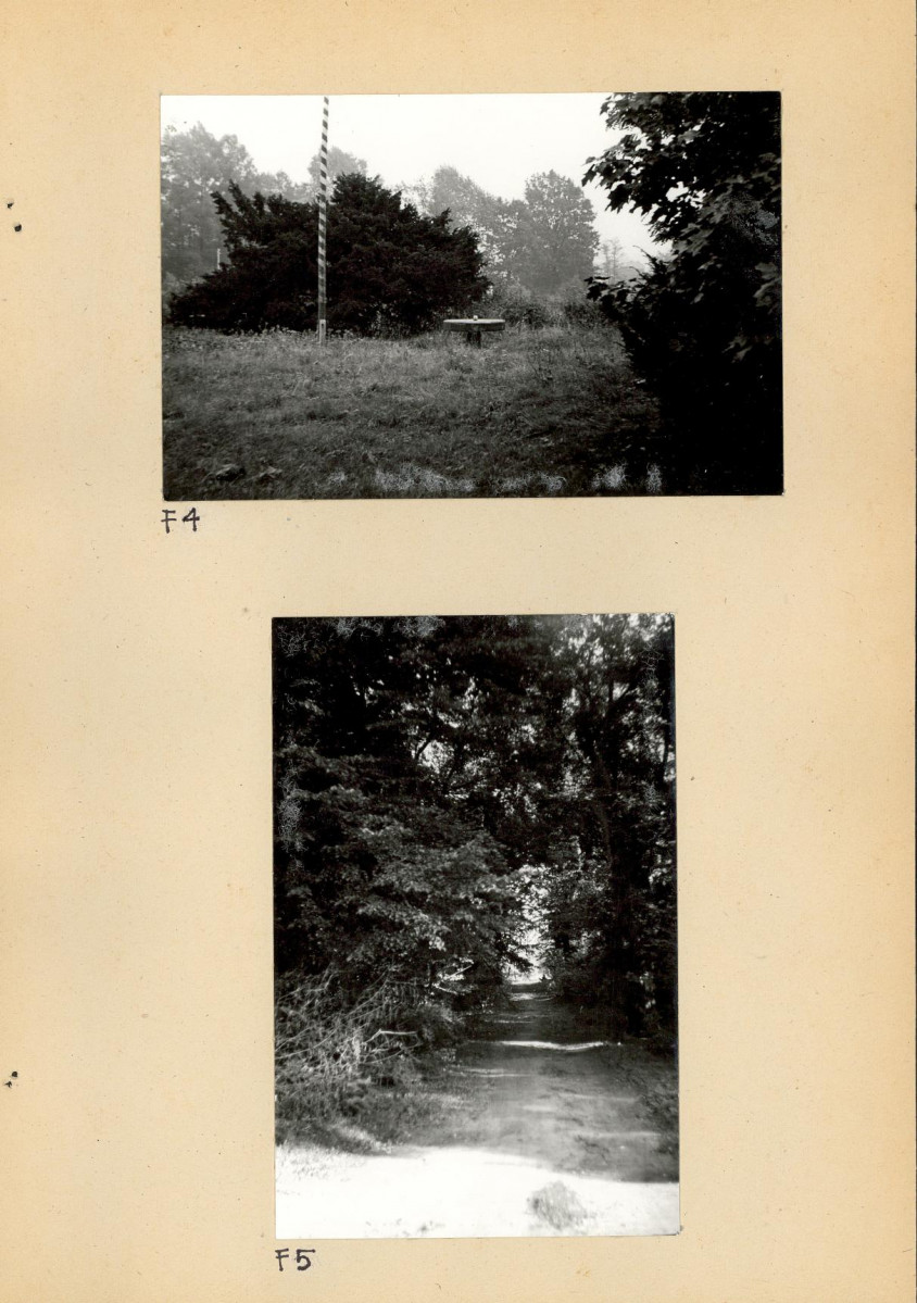 Ewidencja parkowa, skan nr 30