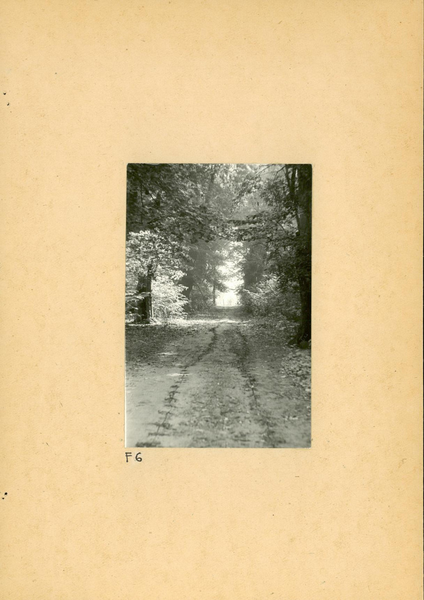 Ewidencja parkowa, skan nr 31