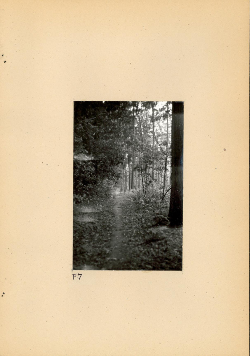 Ewidencja parkowa, skan nr 32