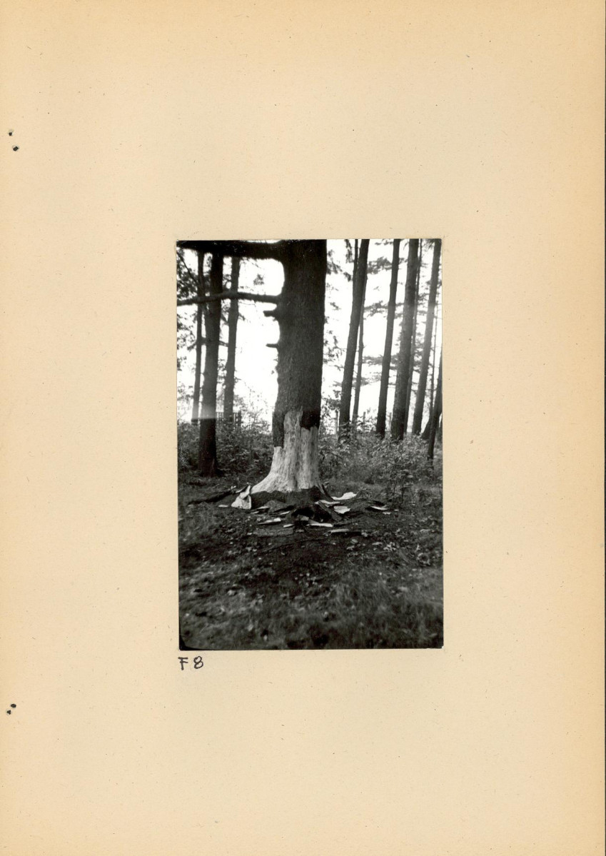Ewidencja parkowa, skan nr 33