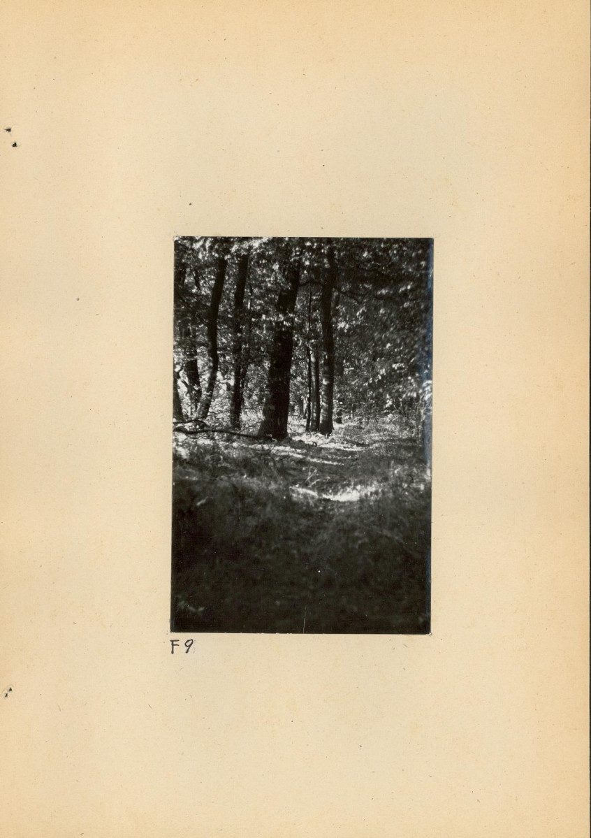 Ewidencja parkowa, skan nr 34