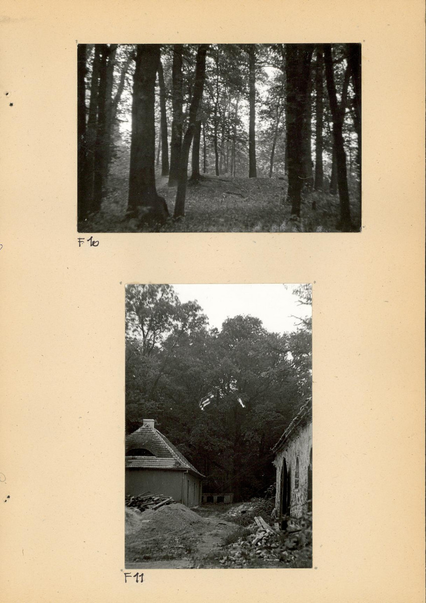 Ewidencja parkowa, skan nr 35