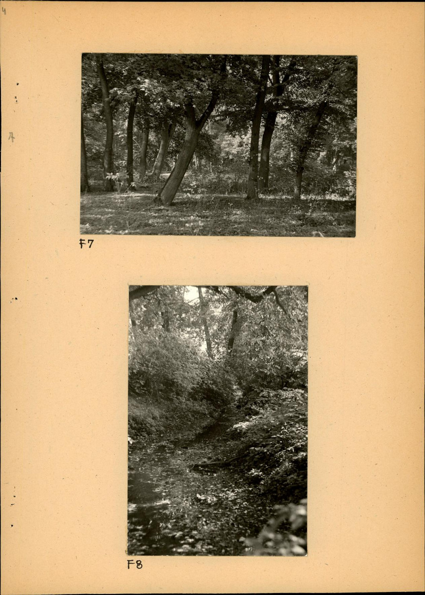 Ewidencja parkowa, skan nr 27