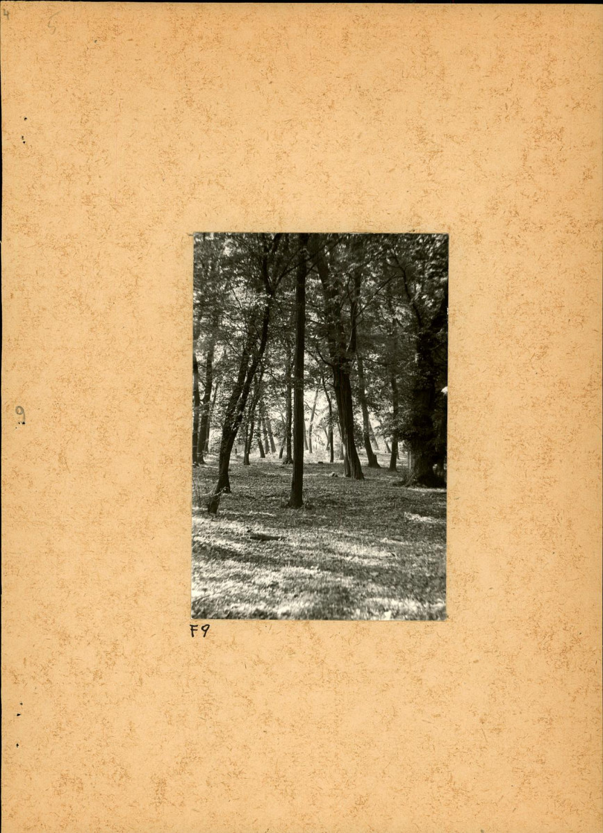 Ewidencja parkowa, skan nr 28