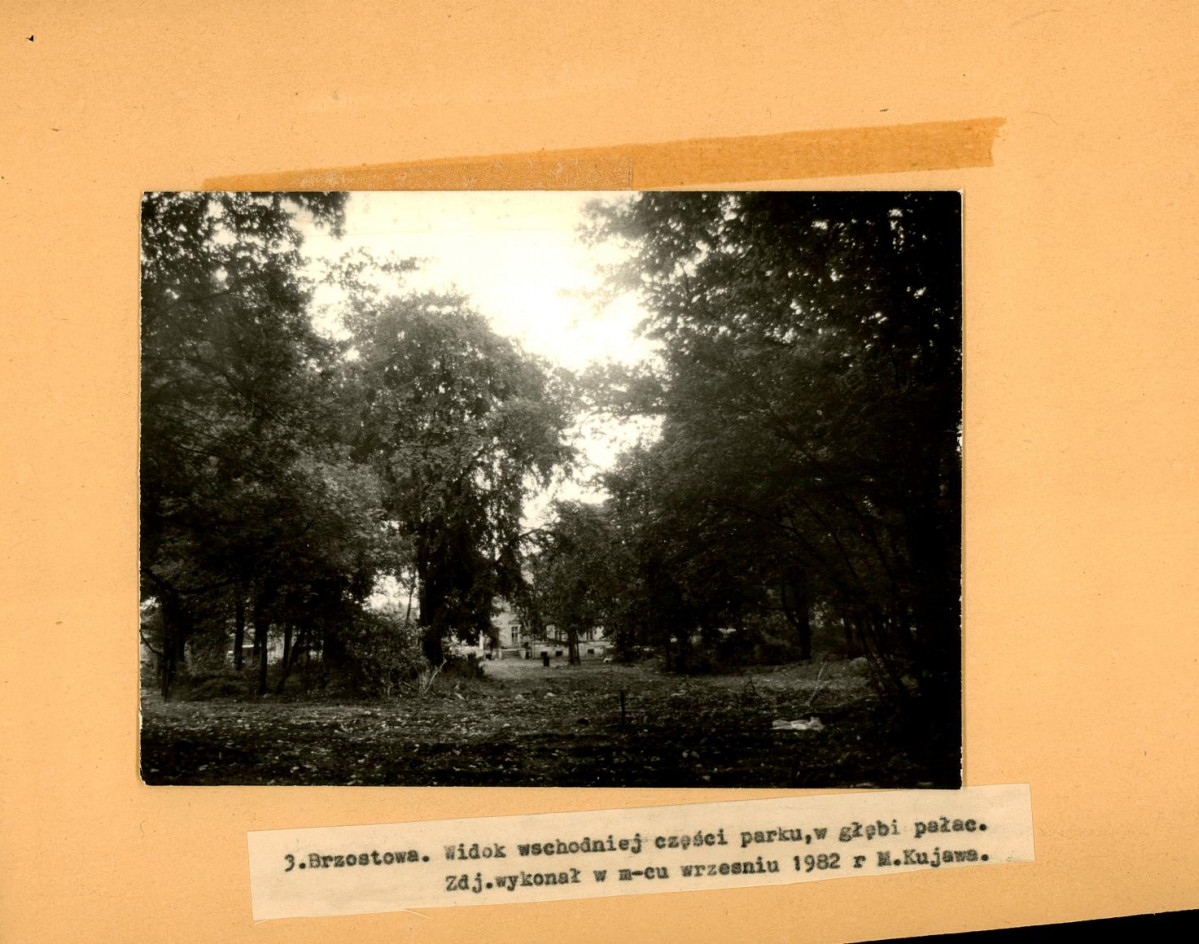 Ewidencja parkowa, skan nr 21