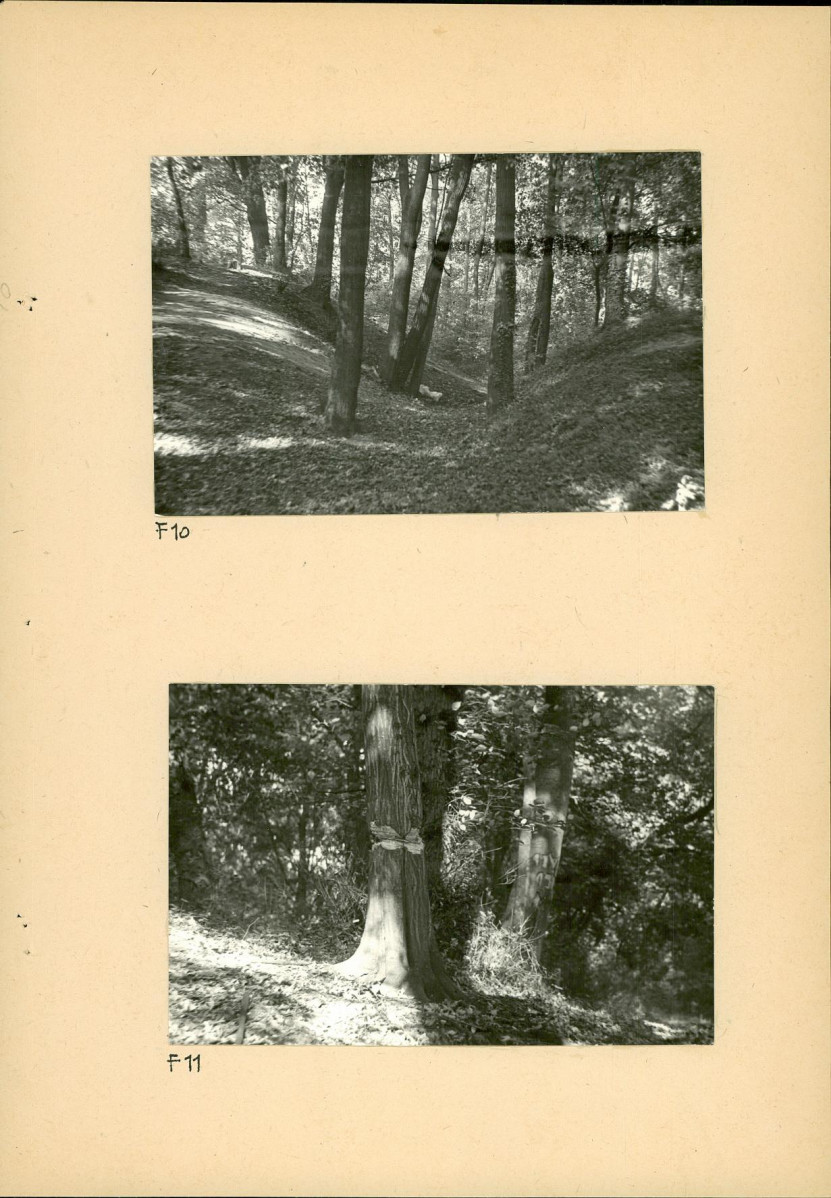 Ewidencja parkowa, skan nr 33