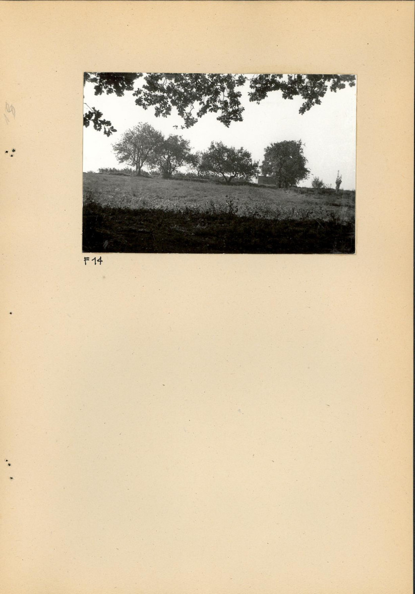 Ewidencja parkowa, skan nr 35