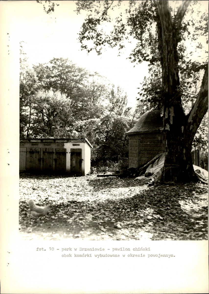 Ewidencja parkowa, skan nr 25