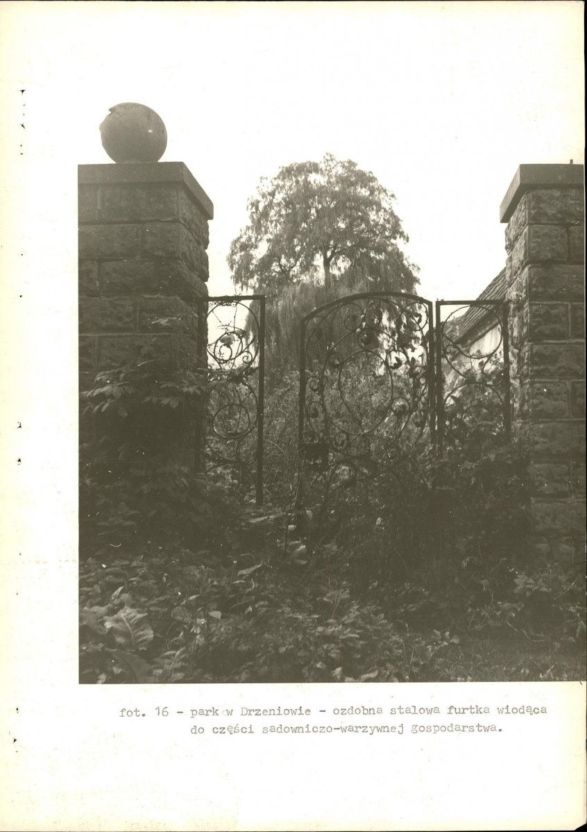 Ewidencja parkowa, skan nr 31