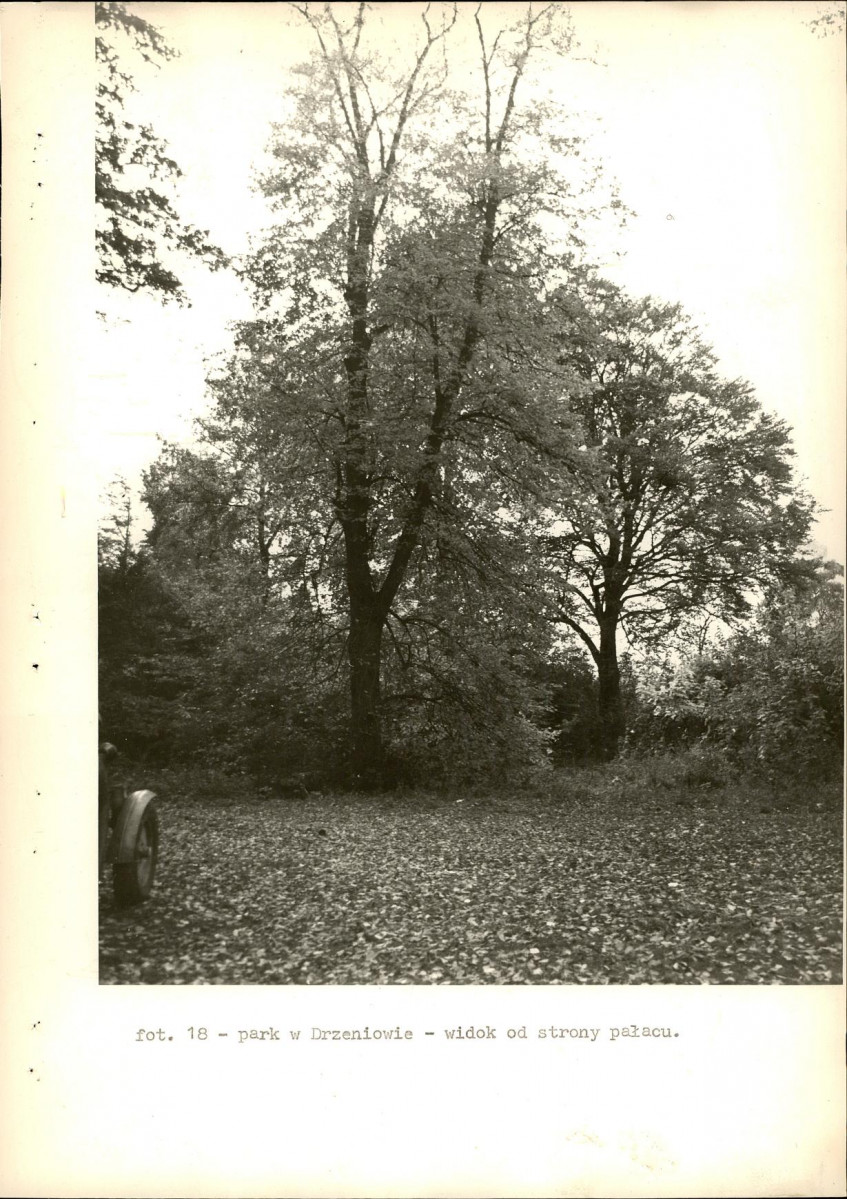 Ewidencja parkowa, skan nr 33