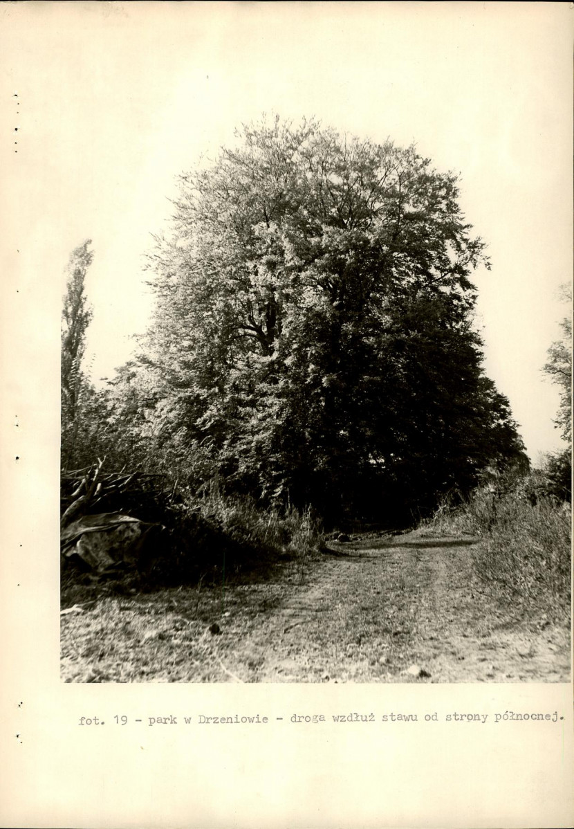 Ewidencja parkowa, skan nr 34