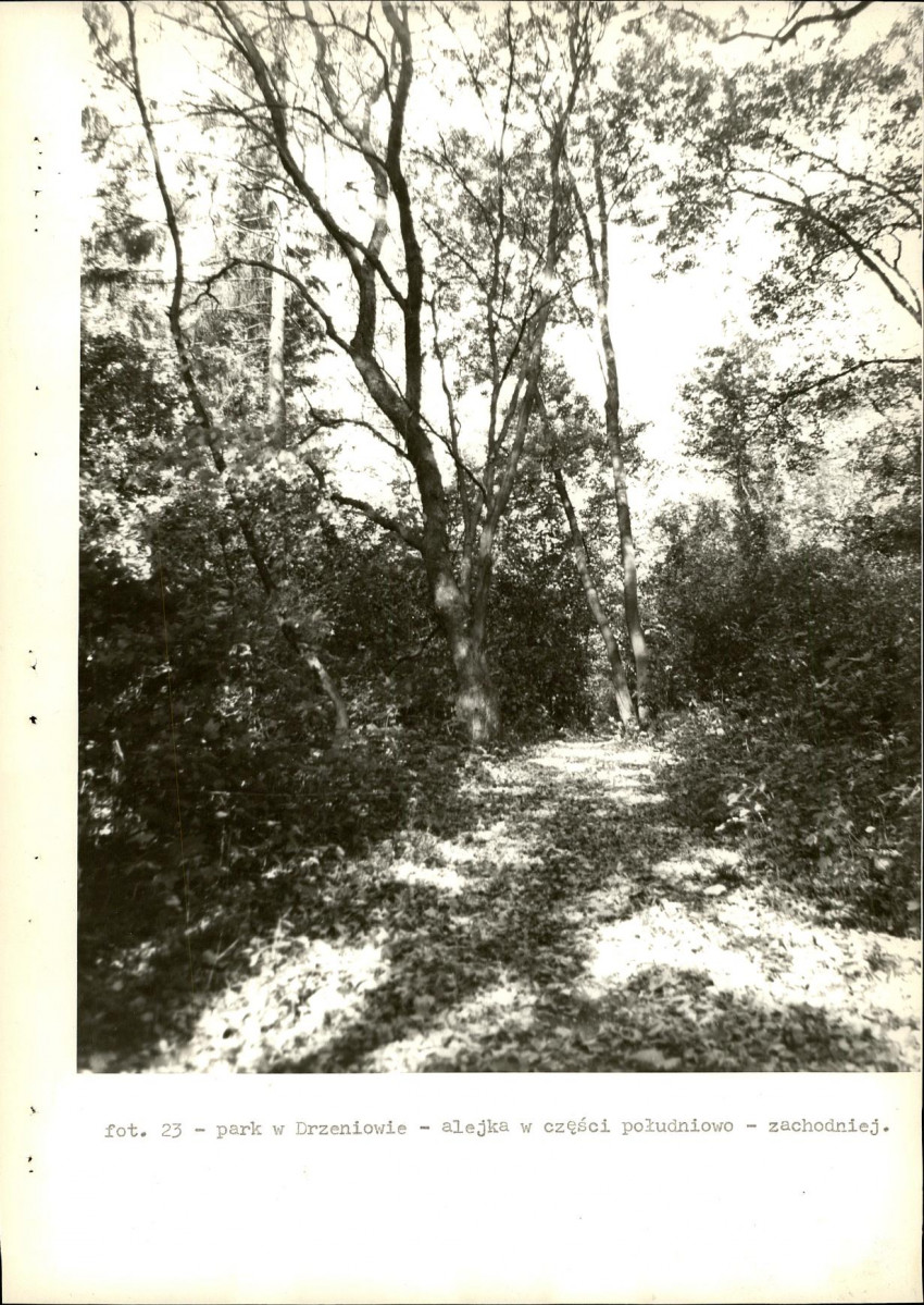 Ewidencja parkowa, skan nr 38