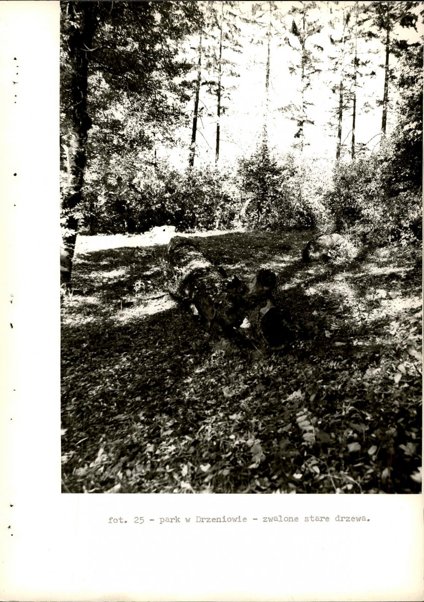 Ewidencja parkowa, skan nr 40