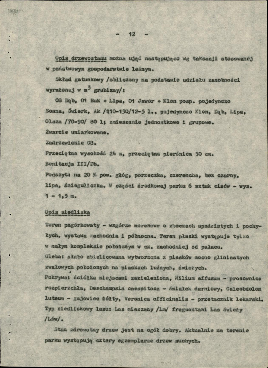 Ewidencja parkowa, skan nr 17
