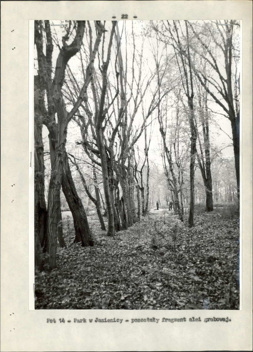 Ewidencja parkowa, skan nr 26