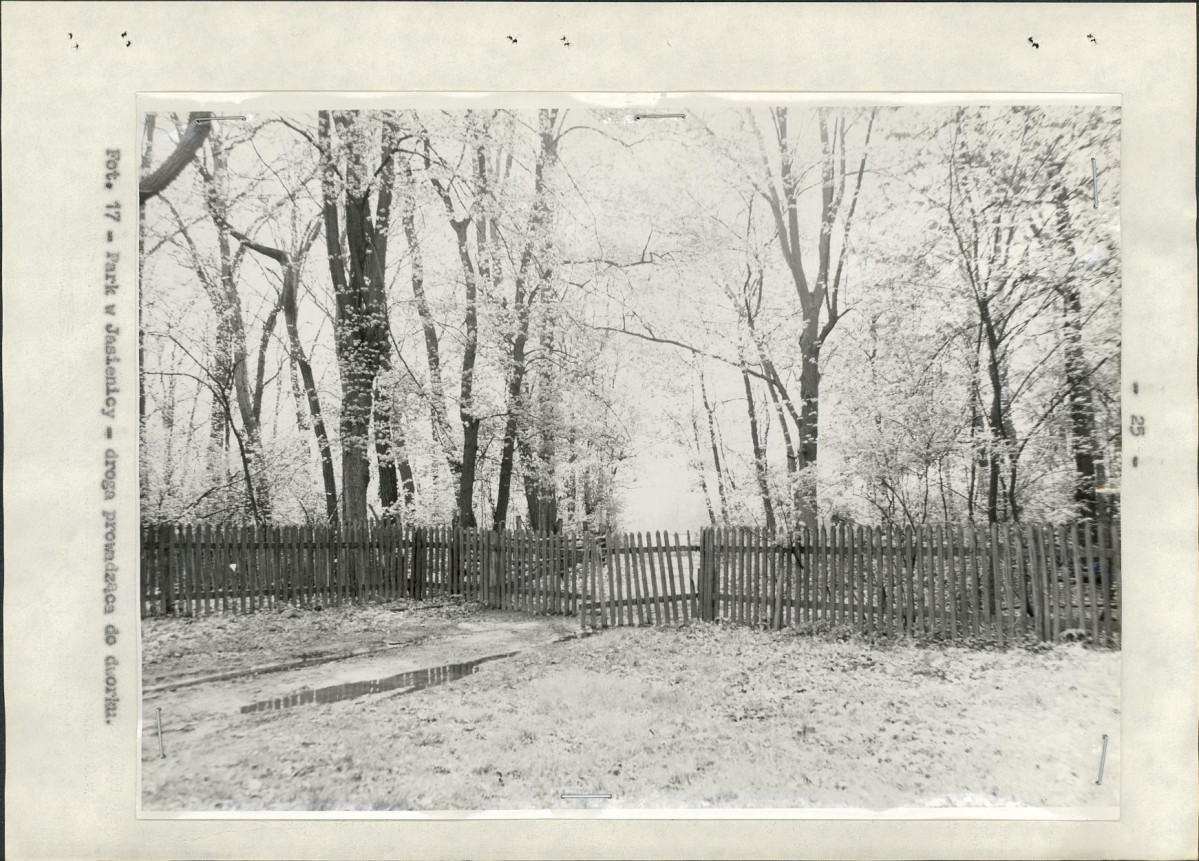 Ewidencja parkowa, skan nr 29