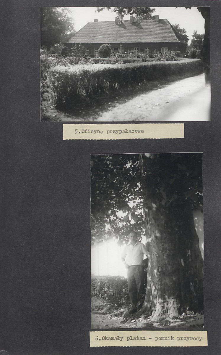 Ewidencja parkowa, skan nr 30