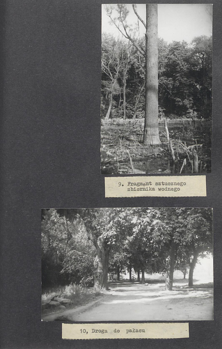 Ewidencja parkowa, skan nr 32