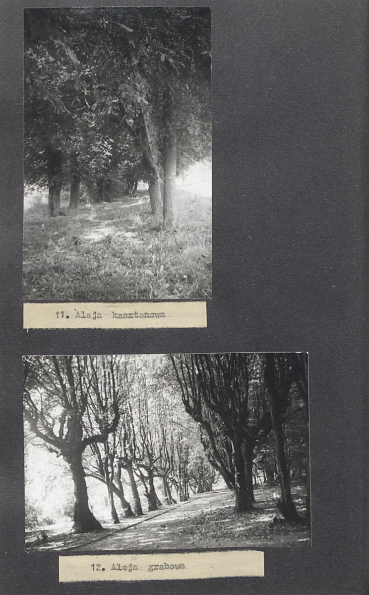 Ewidencja parkowa, skan nr 33