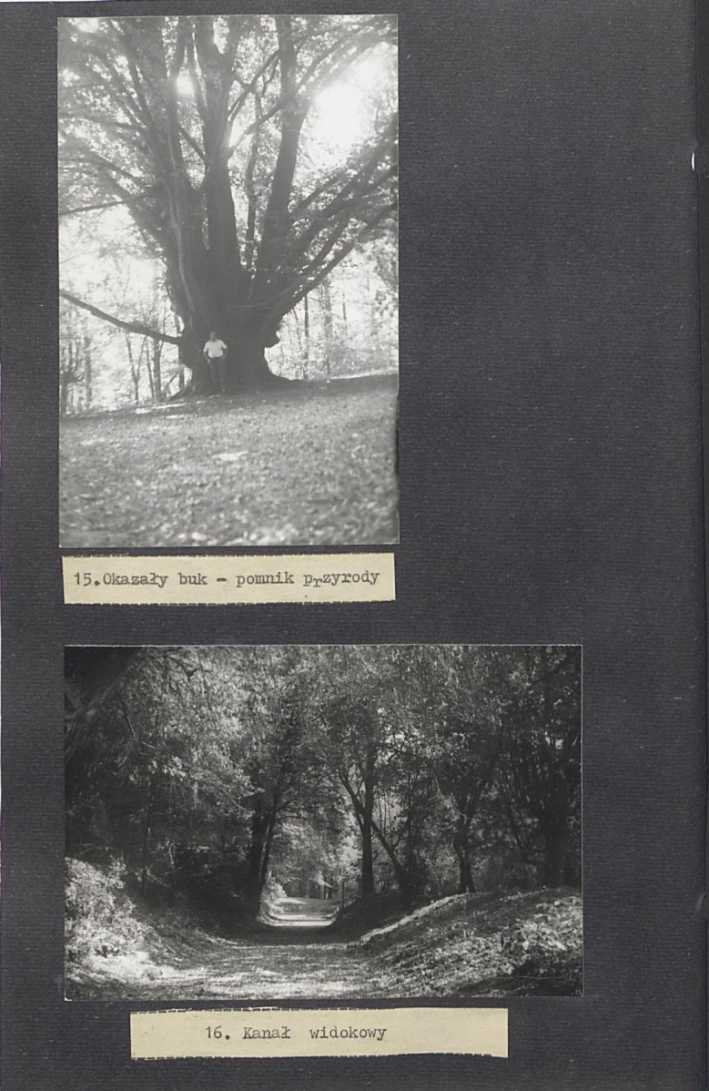 Ewidencja parkowa, skan nr 35