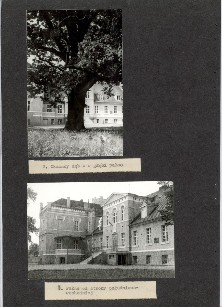 Ewidencja parkowa, skan nr 22