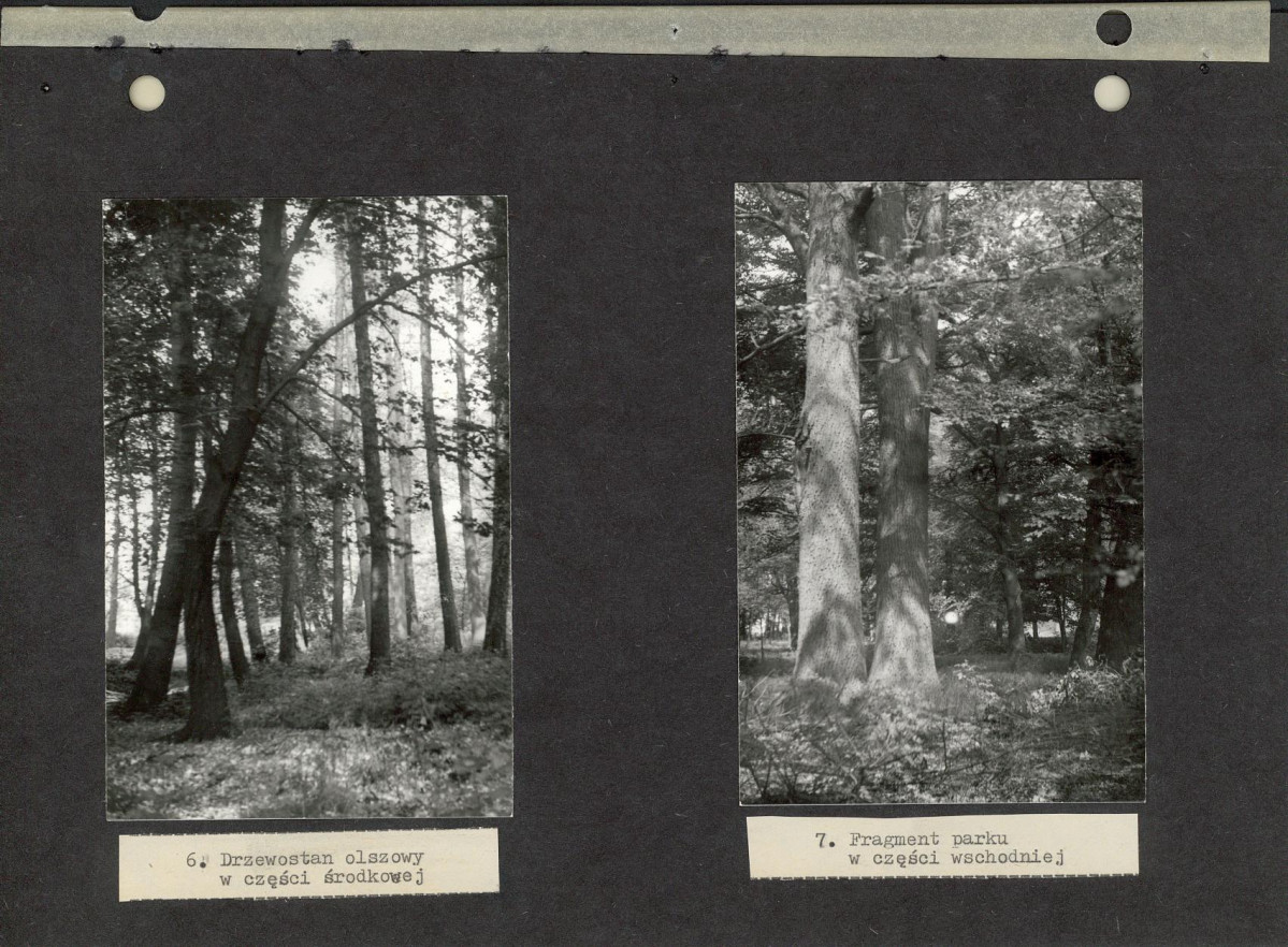 Ewidencja parkowa, skan nr 24