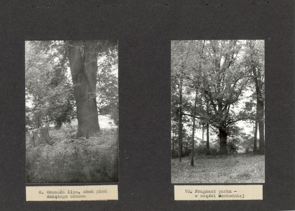 Ewidencja parkowa, skan nr 25