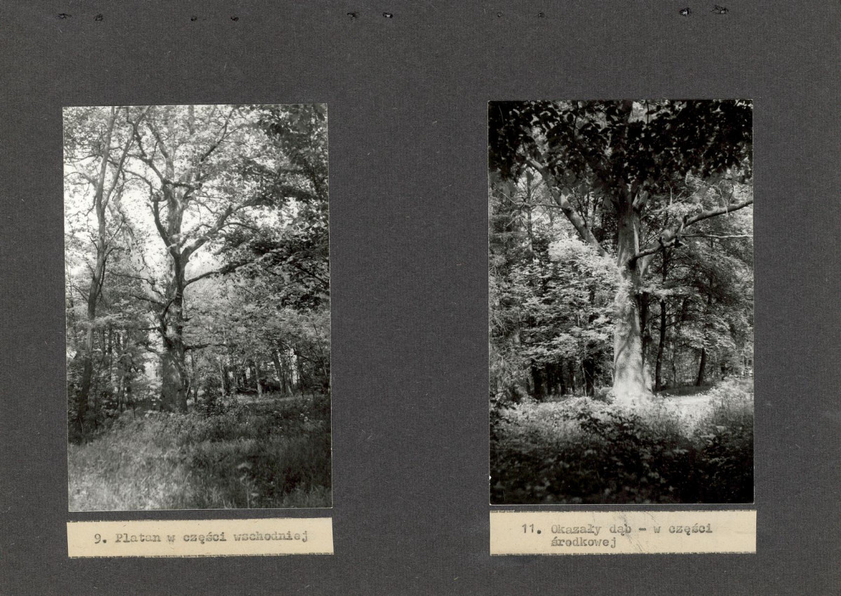 Ewidencja parkowa, skan nr 26