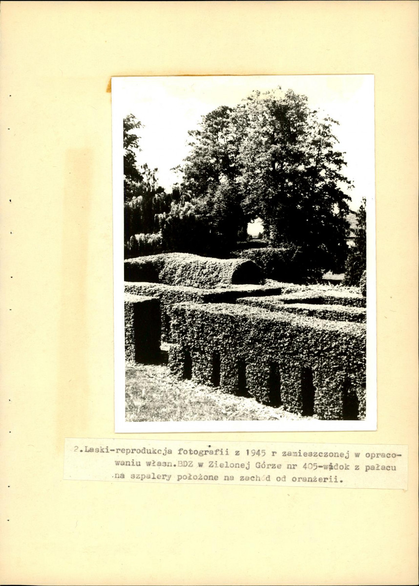 Ewidencja parkowa, skan nr 19