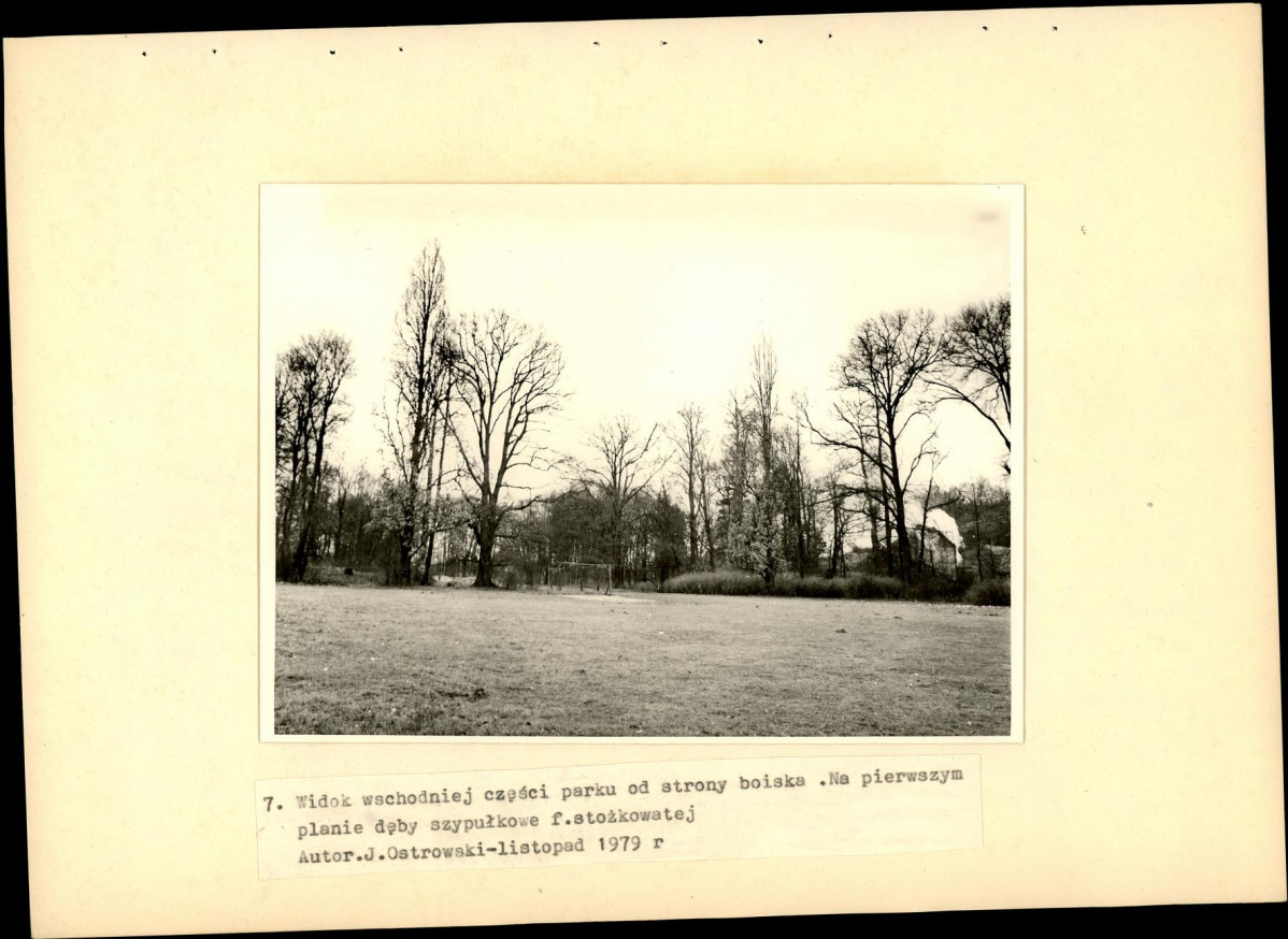 Ewidencja parkowa, skan nr 24