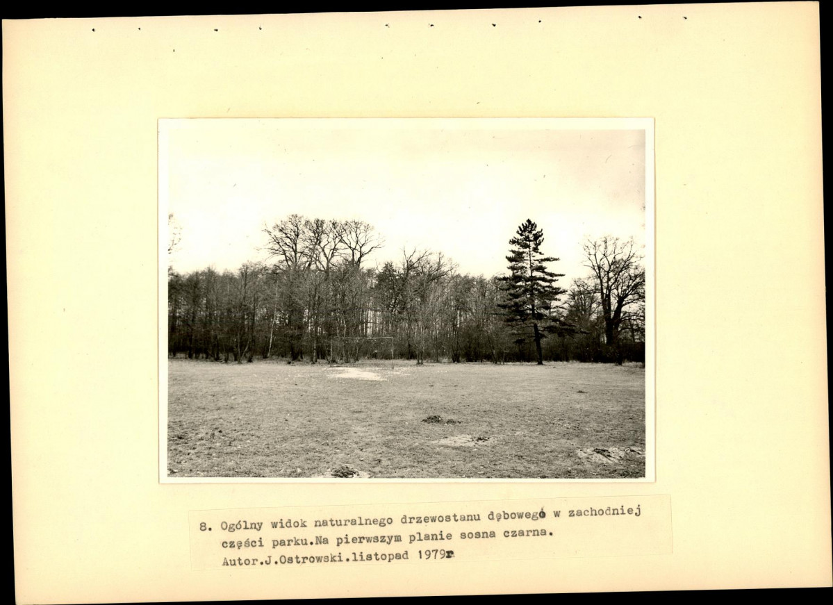 Ewidencja parkowa, skan nr 25
