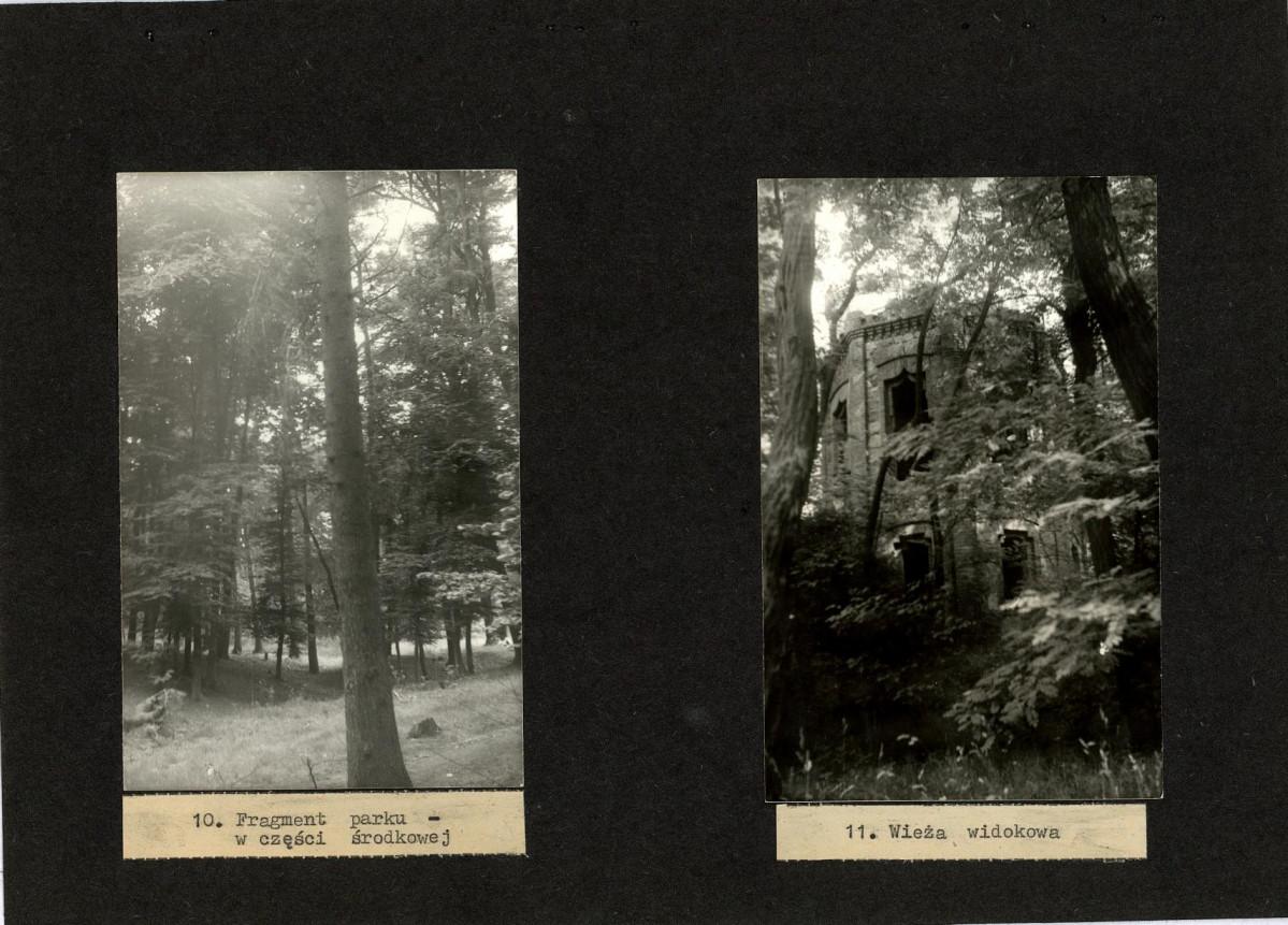 Ewidencja parkowa, skan nr 36