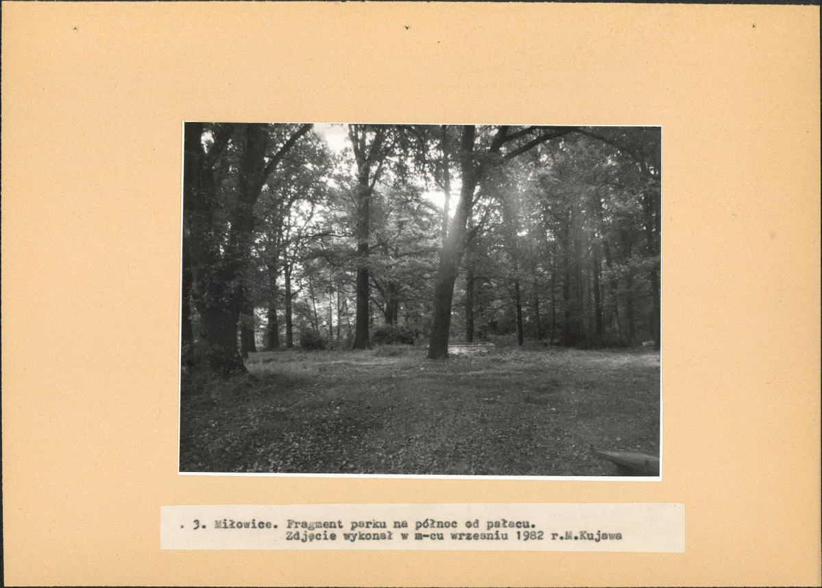 Ewidencja parkowa, skan nr 22