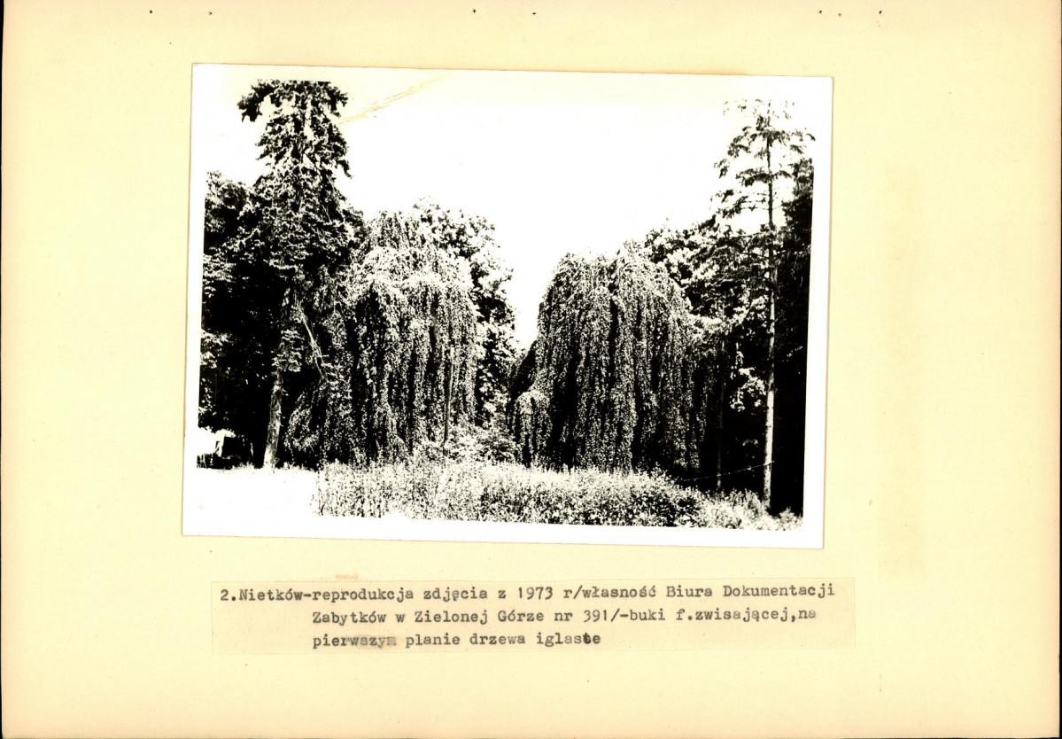 Ewidencja parkowa, skan nr 16