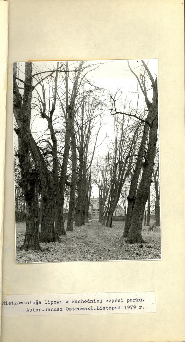 Ewidencja parkowa, skan nr 19