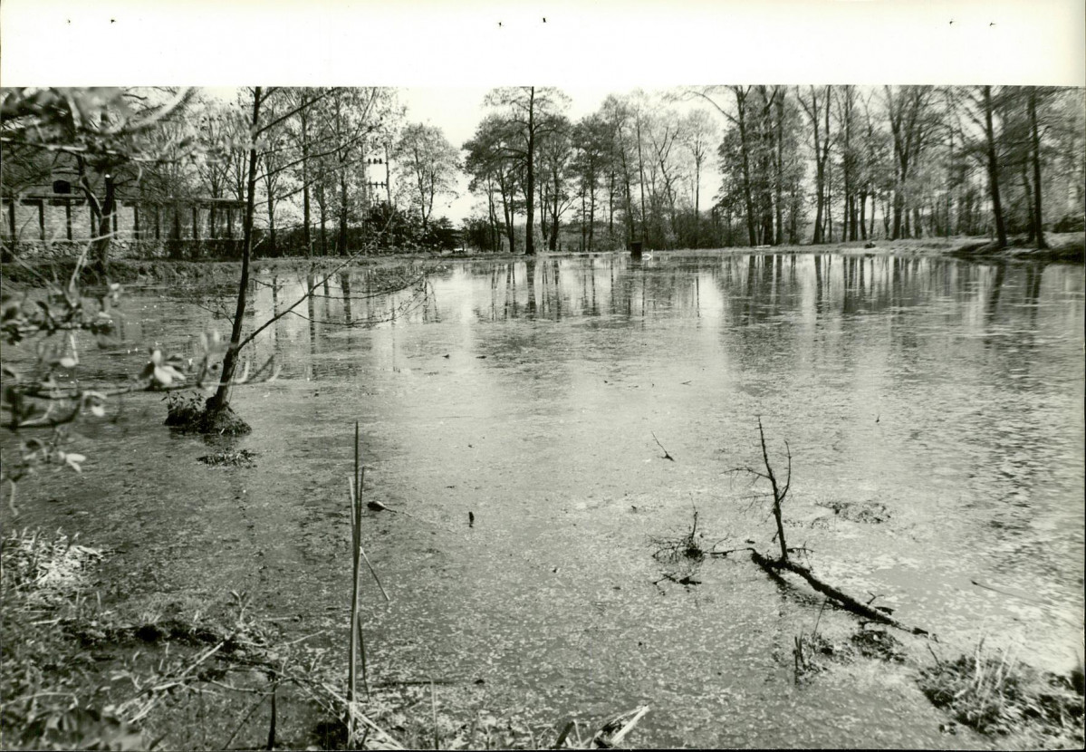 Ewidencja parkowa, skan nr 18
