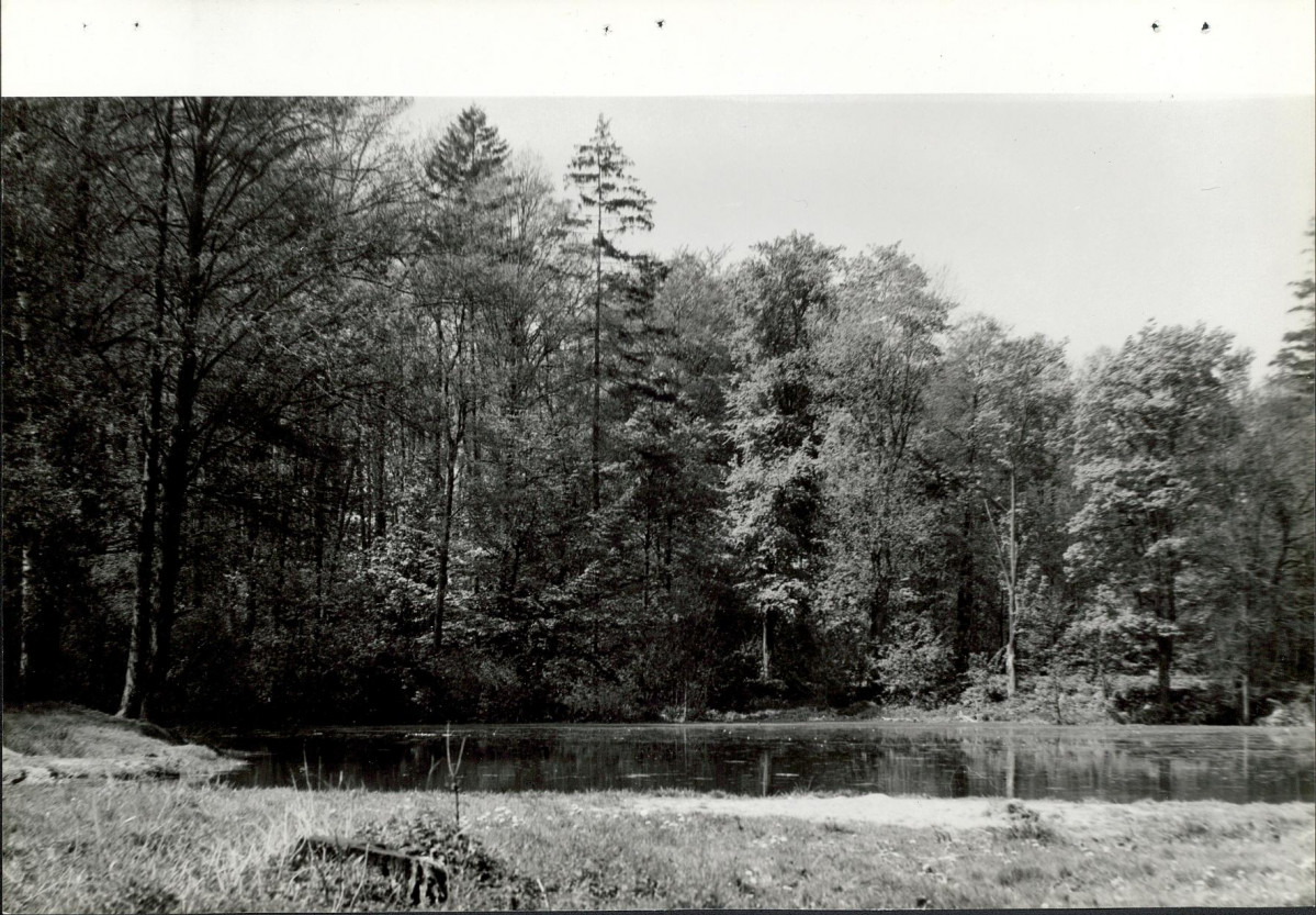Ewidencja parkowa, skan nr 19