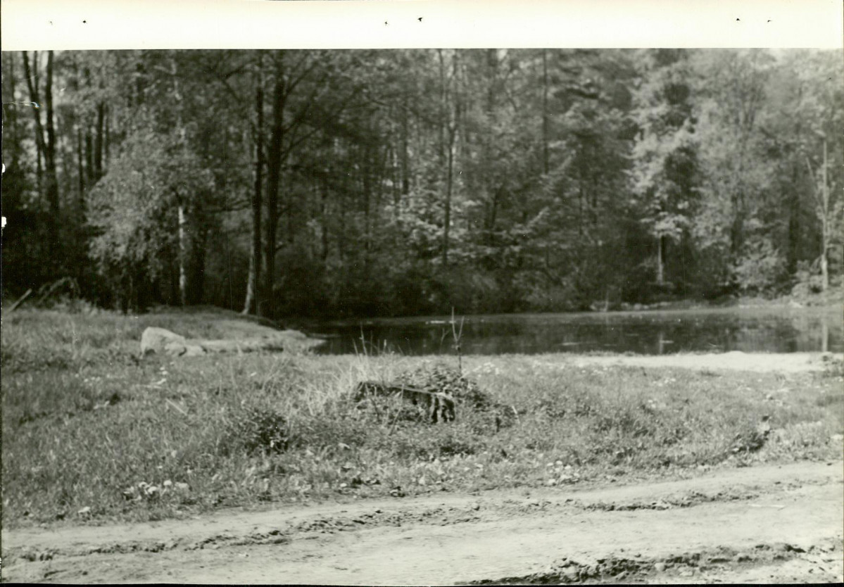 Ewidencja parkowa, skan nr 20
