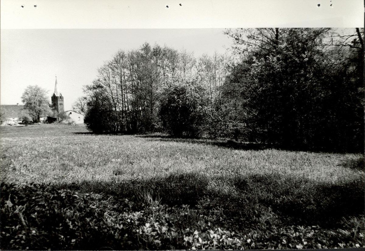 Ewidencja parkowa, skan nr 26