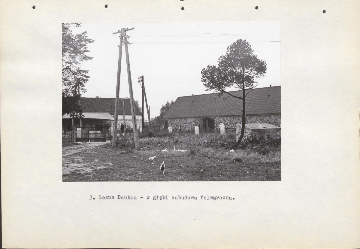 Ewidencja parkowa, skan nr 15