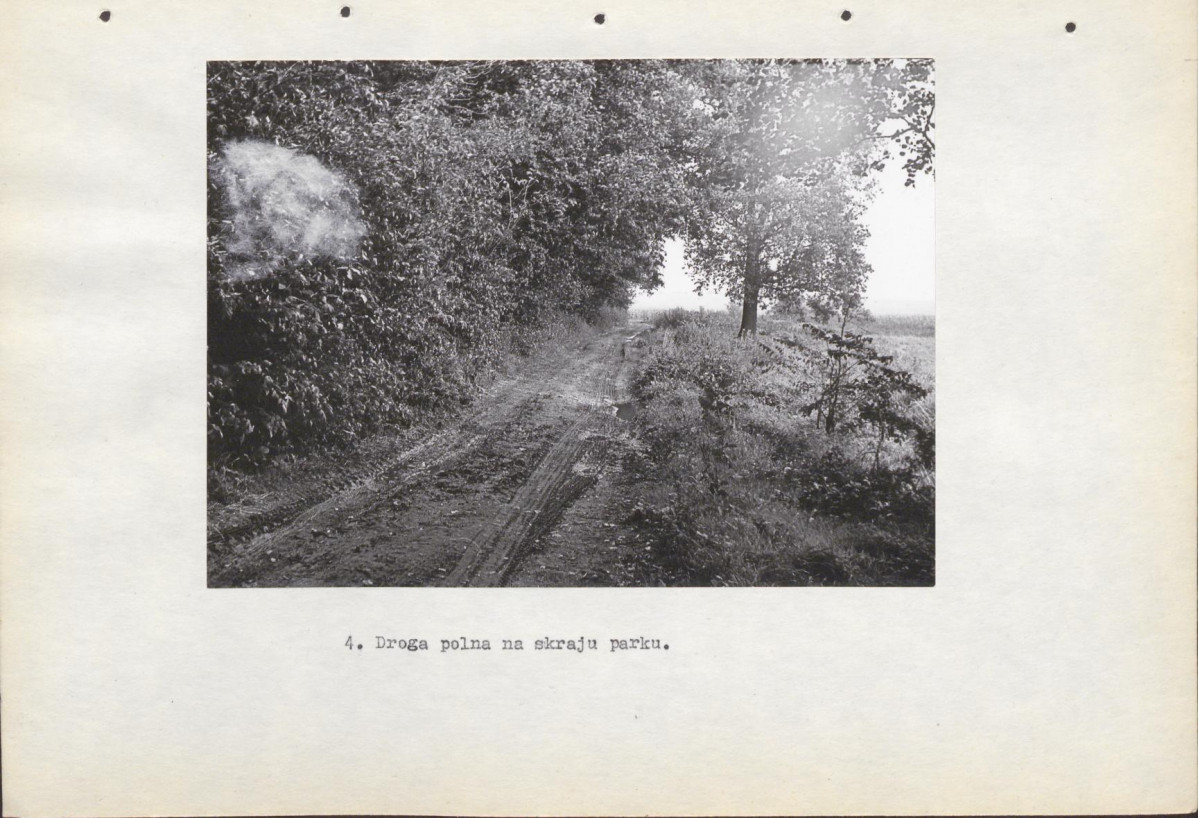 Ewidencja parkowa, skan nr 16