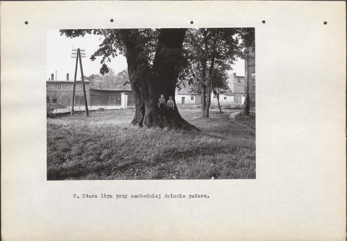 Ewidencja parkowa, skan nr 15