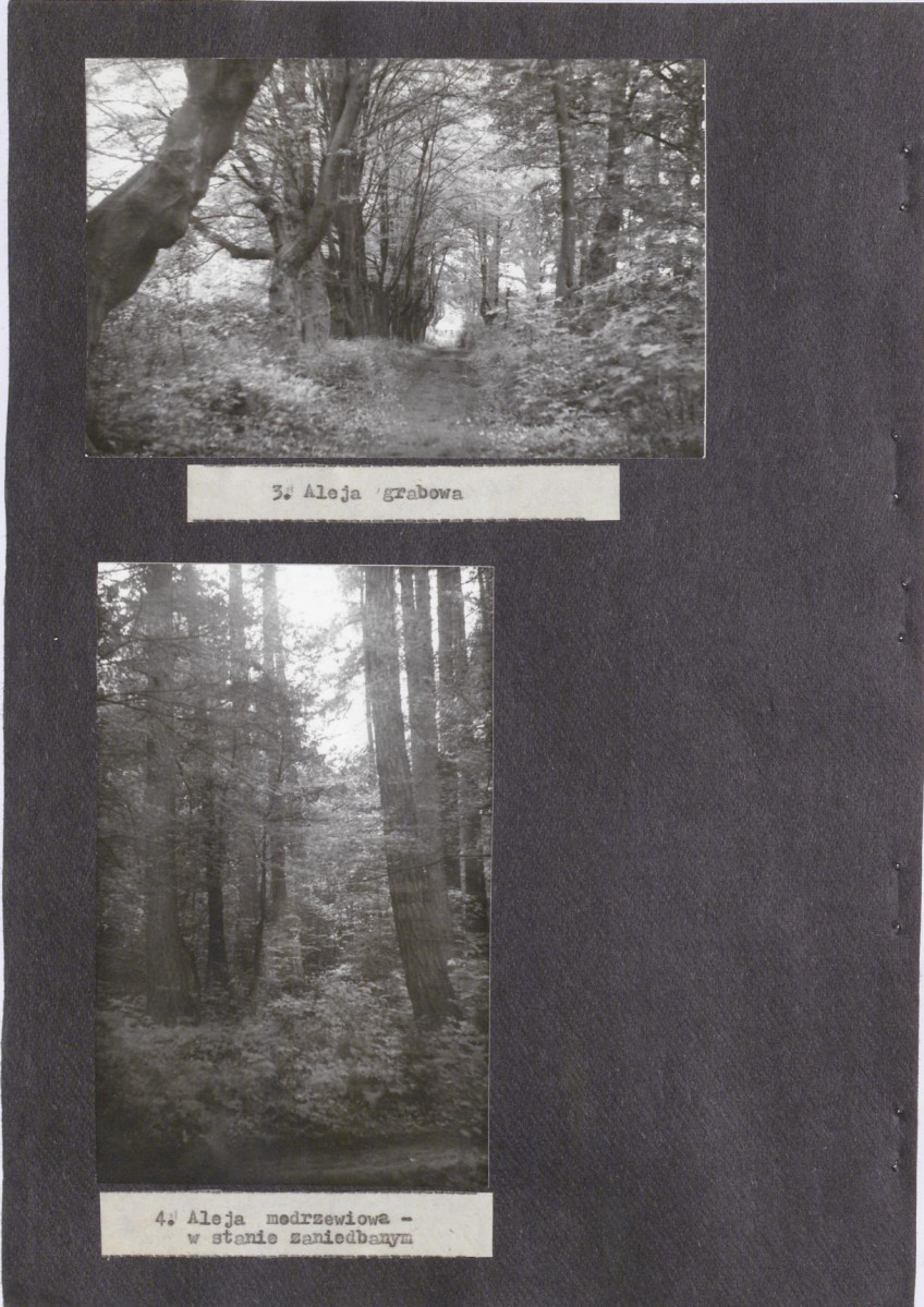 Ewidencja parkowa, skan nr 23
